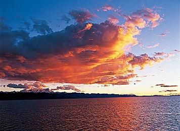 《狂野之心》PC配置公开 2月16日23时正式解锁